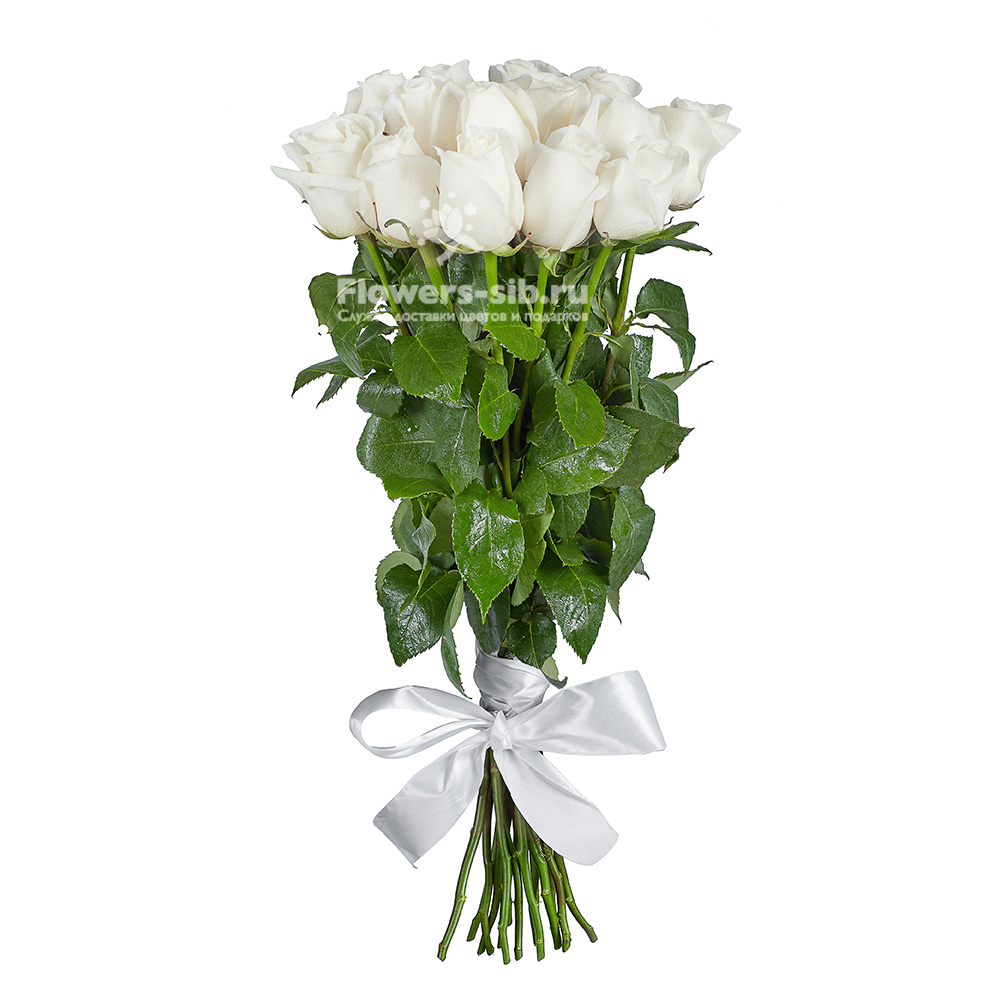Premium White roses